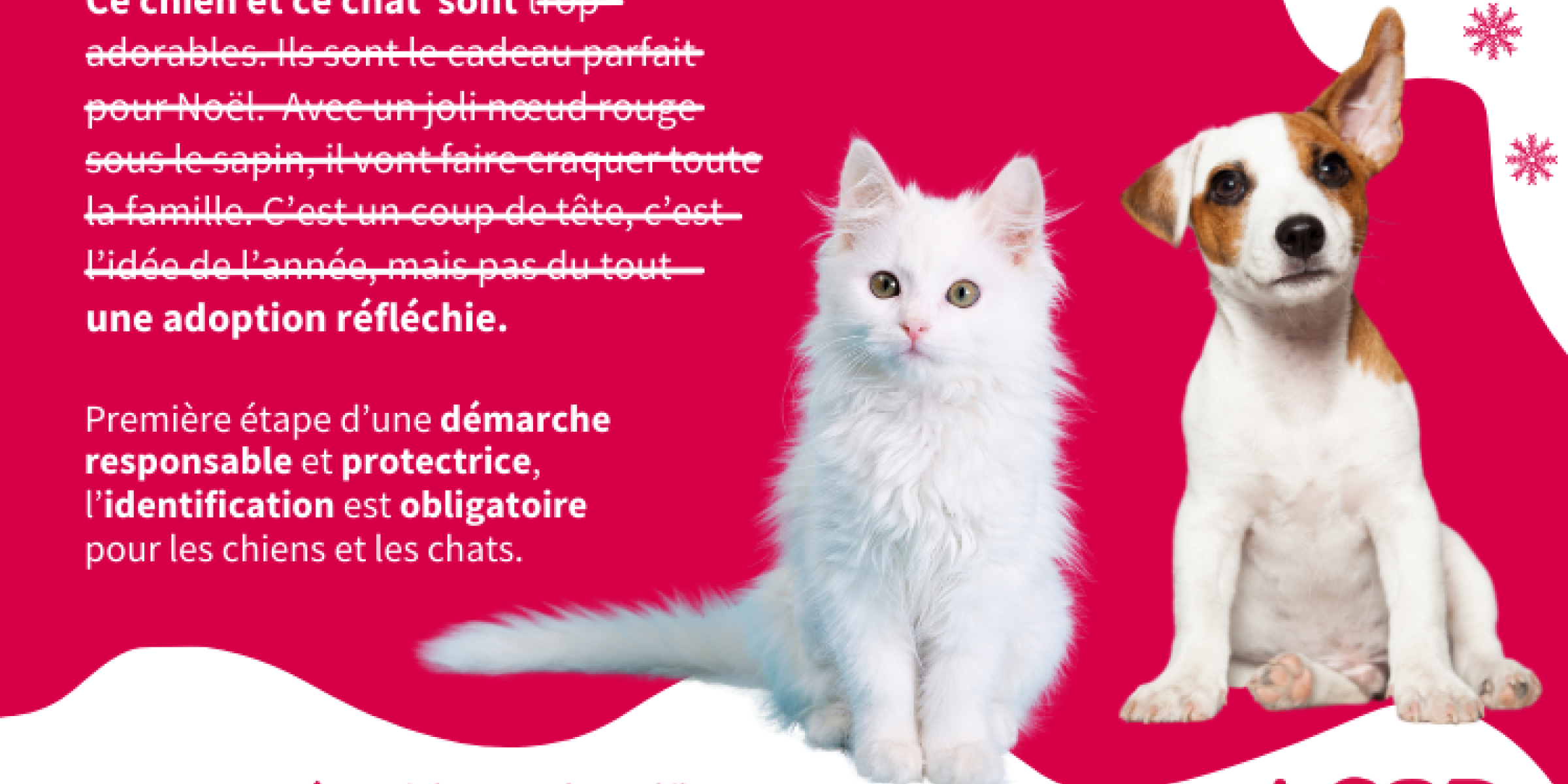 Chat Chien Furet Perdu Ou Trouve Nos Conseils Filalapat